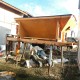 Salarita stare buna de functionare - Preț negociabil